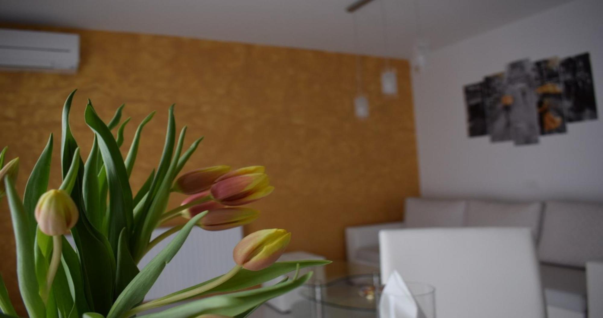 Apartmani Foresta Kras Esterno foto